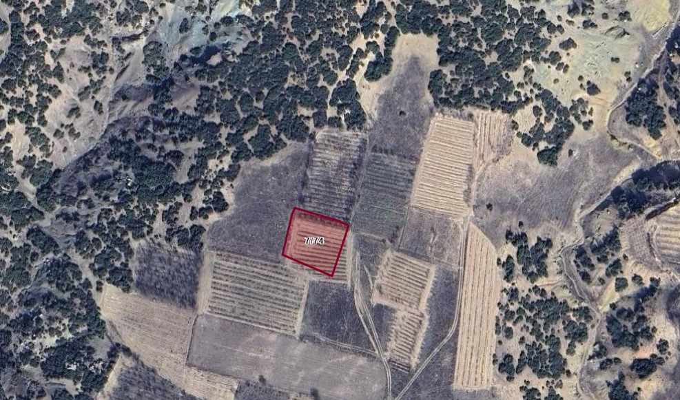 ISPARTA GÖNEN BALADIZ (GÜMÜŞGÜN ) DE 1.324 M² ARSAMIZ SATILIKTIR. - ISPARTA GÖNEN fotoğraf 2